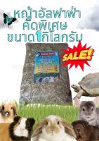 (MMPetShop) หญ้าอัลฟาฟ่าสับ 1กิโลกรัม อาหารกระต่าย แกสบี้