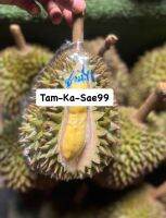 ? ทุเรียนชะนีไข่ ? (Chani Kai Durian) [1 ลูก] น้ำหนัก 990 กรัม - 1.4 โล (ไซส์มินิ) นุ่ม หอม หวาน มัน อร่อย ??#ทุเรียน #ชะนีไข่ #Durian *อ่านรายละเอียดด้วยน่ะครับคุณลูกค้า??