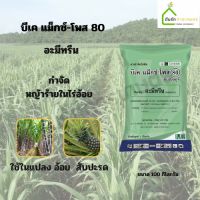 บีเค แม็กซ์-โพส 80 ดับเบิลยูจี อะมีทรีน (ametryn 80% WG) เเบบเม็ด