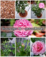 ดินผสมพร้อมใช้ สูตร 16 สำหรับ กุหลาบ(Rose) Pasom Garden - ดินปลูกกุหลาบ ดินกุหลาบ Soil Mix for Rose