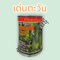 แตงกวาเด่นตะวัน100กรัม สีเขียวสวย ติดผลดก