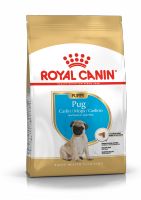 Royal Canin Pug Junior 1.5 Kg. อาหารสุนัข สำหรับลูกสุนัขพันธุ์ปั๊ก หลังจากหย่านม - 10 เดือน ขนาด 1.5