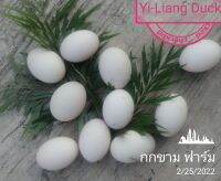 Yi-Liang Duck 10 eggs : ไข่เชื้อเป็ดอี้เหลียง ชุด 10 ฟอง ไข่เชื้อสำหรับนำไปฟัก ประกันการแตกเสียหายจากการขนส่ง 100%