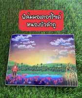 แผ่นฟิล์มทะเบียนรถมอเตอร์ไซค์ลายกราฟฟิคจังหวัดหนองบัวลำภู