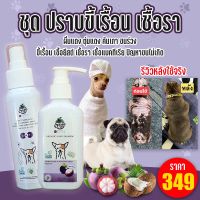 ชุดปราบขี้เรื้อน ยีสต์ แบคทีเรีย หมาแมว แชมพู 120ml+สเปรย์70ml