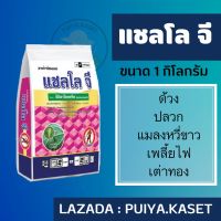 แชลโล จี ขนาด 1 kg. สารกำจัดมด เพลี้ยหอย เพลี้ยแป้ง ปลวก แมลงคลาน ฟูราดาน สตาร์เกิล จี อิมิดาโกลด์ จี