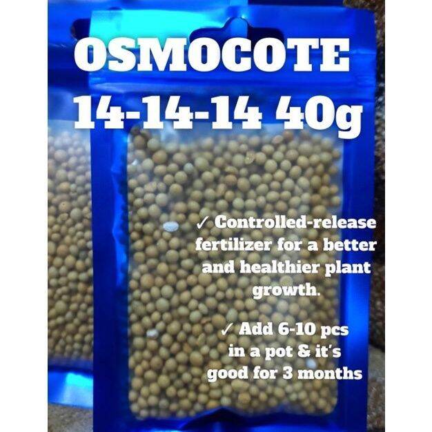 Osmocote 141414 40g by Desert Succulent Lazada PH