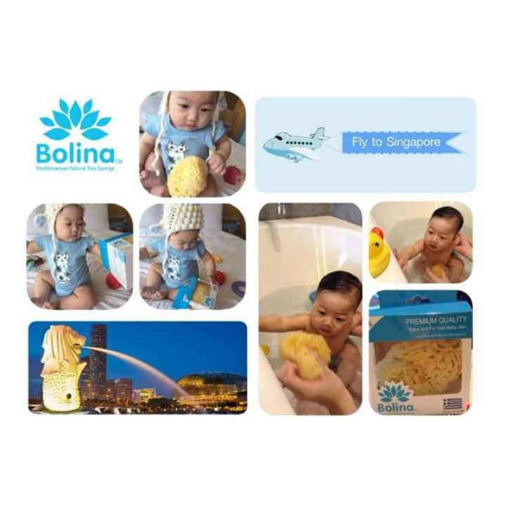 bolina-โบลิน่า-ฟองน้ำธรรมชาติเเท้-100-จาก-ทะเลเมดิเตอร์เรเนียน