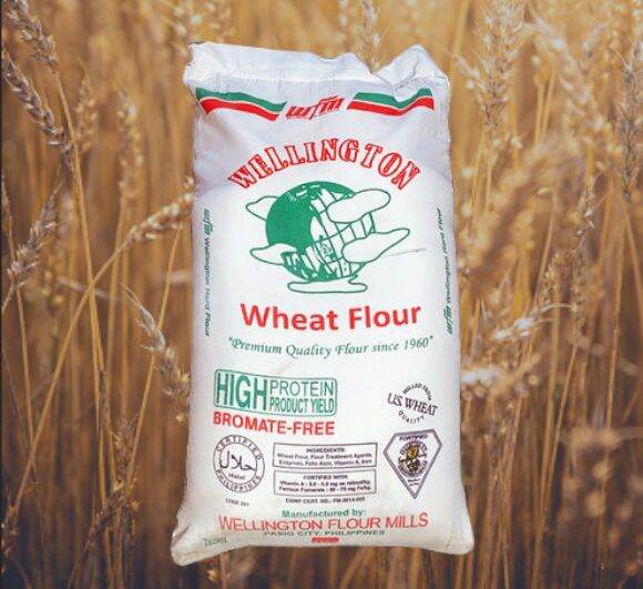 WELLINGTON BREAD FLOUR 1KG Lazada PH