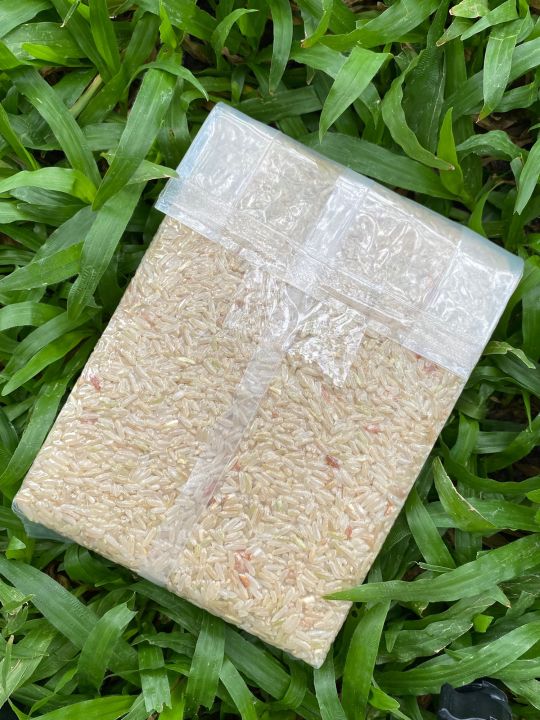 ข้าวหอมมะลิสุรินทร์-ข้าวซ้อมมือ-ข้าวเพื่อสุขภาพ-อินทรีย์แท้-100-organic-rice