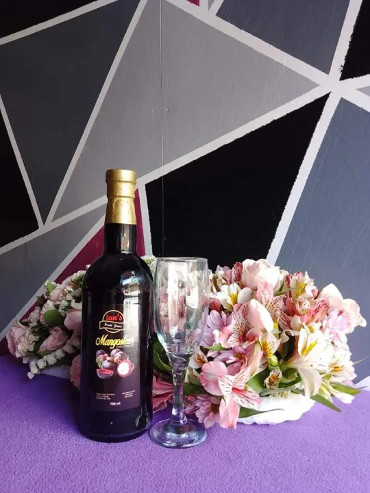 fruit Wines from baguio Lazada PH