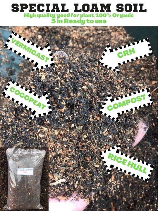 Special Loam Soil ( mix to cocopeat , vermicast, crh, rice hull