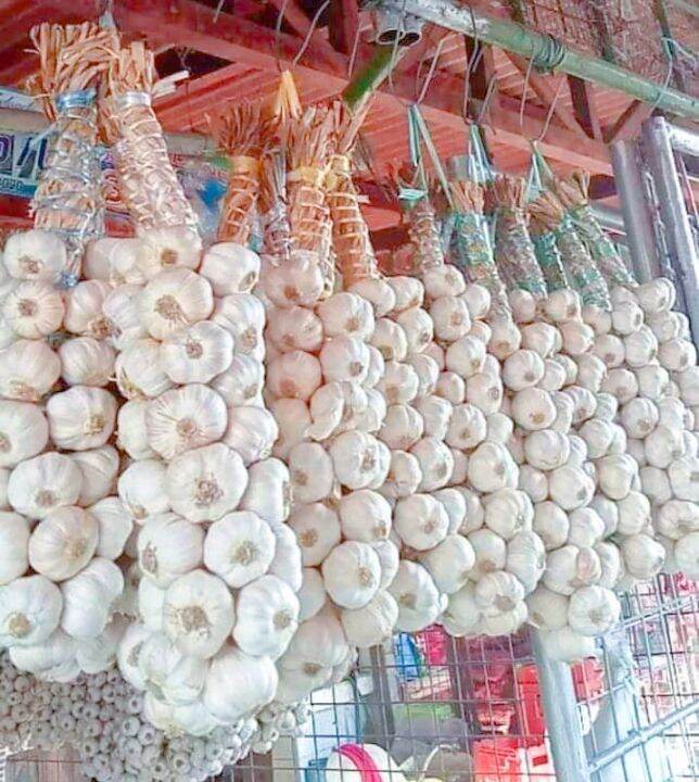 Braided 1kg native garlic (ilocos bawang) small size Lazada PH