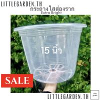 Little กระถางใส 15 นิ้ว (ใสพิเศษA+?)