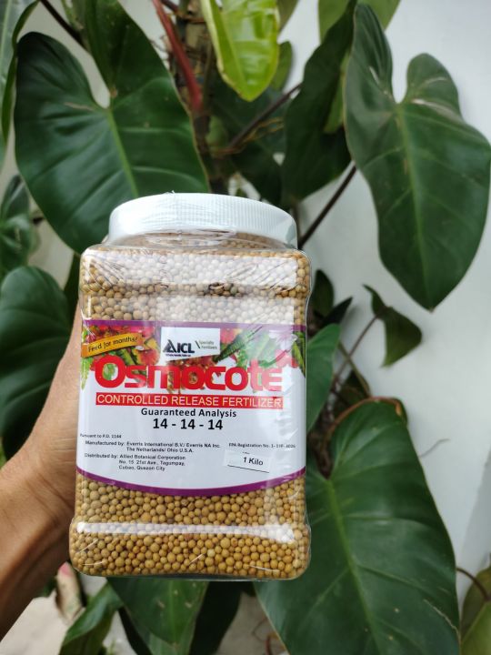 Osmocote 14-14-14 Original Packaging 1kg. | Lazada PH