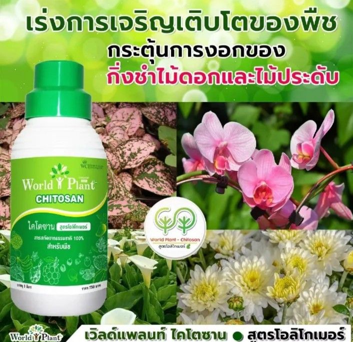 เวิลด์แพลนท์-ไคโตซาน-ชุดคู่หู-world-plant-chitosan-ปุ๋ยน้ำสูตรโอลิโกเมอร์