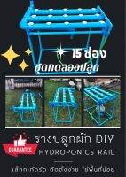 ชุดรางปลูกผักสลัด Hydroponics DIY ชุดทดลองปลูก 15 ช่อง (Hydroponics vegetable planting kit)