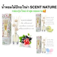 ‼️พร้อมส่ง‼️ รุ่นใหม่?ก้านไม้หอมปรับอากาศ SCENT NATURE เซนต์ เนเจอร์ 50 ml (มีหลายกลิ่น)