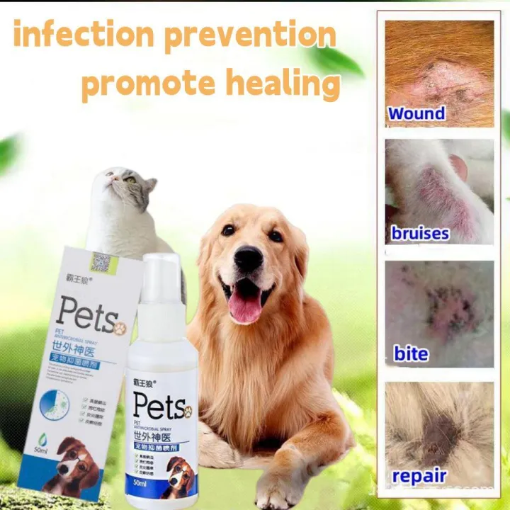 Pet Dog Skin Care Spray Pet Antifungal Spray Cat and Dog Dermatology