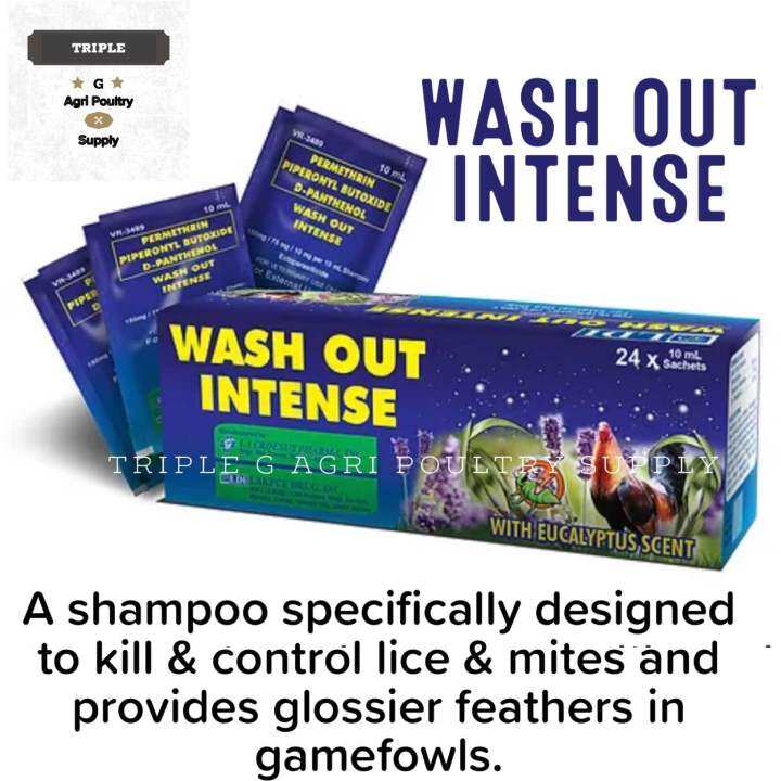 Wash Out Intense Shampoo 10ml - 1 sachet | Lazada PH