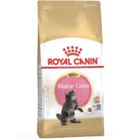 Royal Canin FelinBreed Kitten MaineCoon36 (ลูกแมวพันธุ์เมนคูน) 10 kg