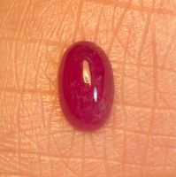 ทับทิมธรรมชาติ 1.6cts 8.3x5.1mm 1.6cts natural ruby 8.3x5.1mm