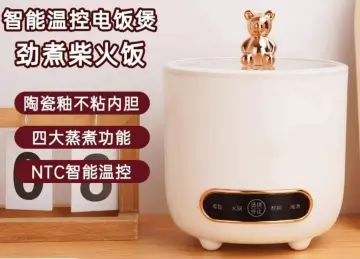 Bear Mini Rice Cooker Review 