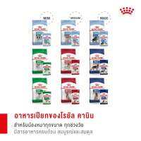 [5 ซอง] Royal Canin Mini Adult Pouch Gravy อาหารเปียกสุนัข อายุ 2 เดือน - 12 ปี ( Wet Dog Food, โรยัล คานิน)