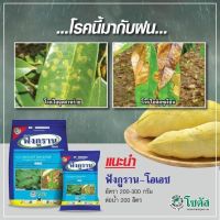 "ฟังกูราน-โอเอช" สารป้องกันกำจัดโรคพืชที่เกิดจากเชื้อราและแบคทีเรีย สูตรทนฝน