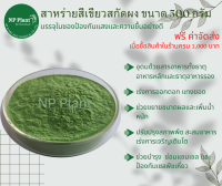 สาหร่ายสีเขียวสกัด ชนิด ผง (Green Seaweed Extract Powder) ละลายน้ำ100% บำรุงต้น เร่งดอก