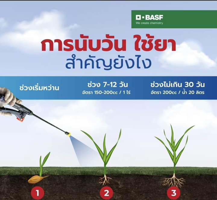 บาซากราน-ยากำจัดหญ้า-หนวดแมว-แห้วหมู-ต้นกกทุกชนิด-ต้นปรือ-ฉีดจี้ข้าวไม่แดงไม่อาน-หญ้าตายดีใน-7-วัน