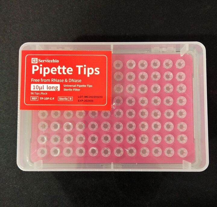 Pipette Filter Tip 10 ไมโครลิตร (960 ชิ้น/แพค) Lazada.co.th