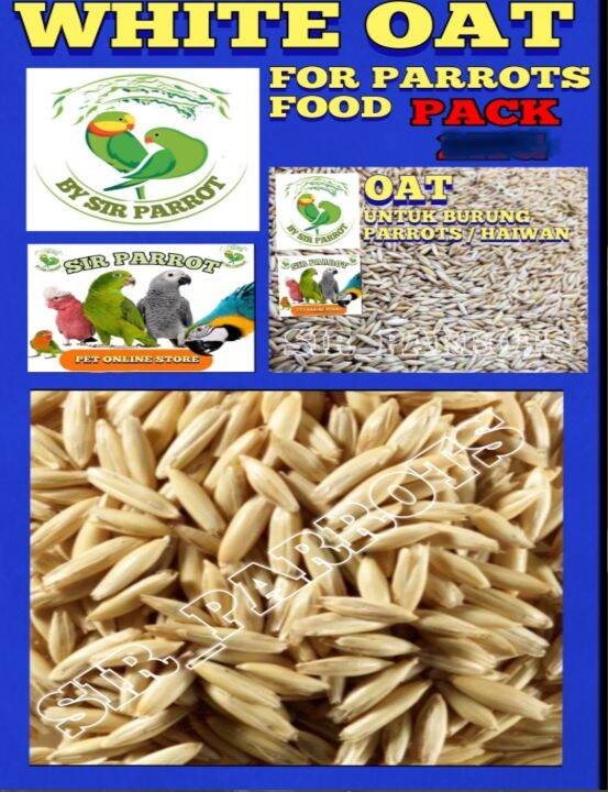 White Brown Organic Raw Oat Untuk Burung Parrots / Haiwan. (Pack 1KG) Lazada
