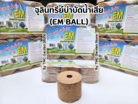 จุลินทรีย์บำบัดน้ำเสีย EM Ball อีเอ็มบอล บ่อบำบัด ถังดักไขมัน แพ็ค 6 ก้อน 1kg. (ผลิตภัณฑ์ไร้สารเคมี)