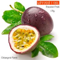 ?1 กก.เสาวรส Passion Fruit หวานอมเปรี้ยว อร่อย วิตามินซีสูง เก็บใหม่สดทุกวัน Passion Fruit พันธุ์ไทนุง