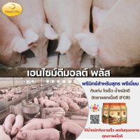 เอนไซม์ดีมอลต์ พลัส สูตรใหม่ สุกรโตเร็ว น้ำหนักดี