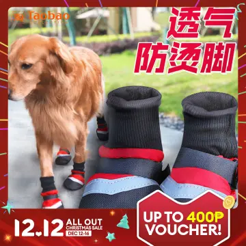 Labrador dog shoes outlet online