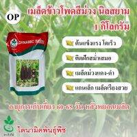 เมล็ดพันธุ์ข้าวโพดข้าวเหนียวสีม่วง นิลสยาม ตรา ใบไม้ ขนาด 1 กก. จำนวน 1 ซอง จาก ไดนามิคพันธุ์พืช Purple Waxy Corn seeds (Nil Siam) 1 kg from Dynamic Seeds