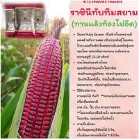 เมล็ดพันธุ์ข้าวโพดราชีนีทับทิมสยาม (ซอง 500 เมล็ด)