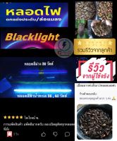 หลอดไฟล่อแมลง36W หลอดผอม แสงสีม่วง?กับสีฟ้าน้ำทะเล? หลอด Black Light T10 ✅ 36/ 40 วัตต์ ยาว120ซม? มีให้เลือกพร้อมราง✔️