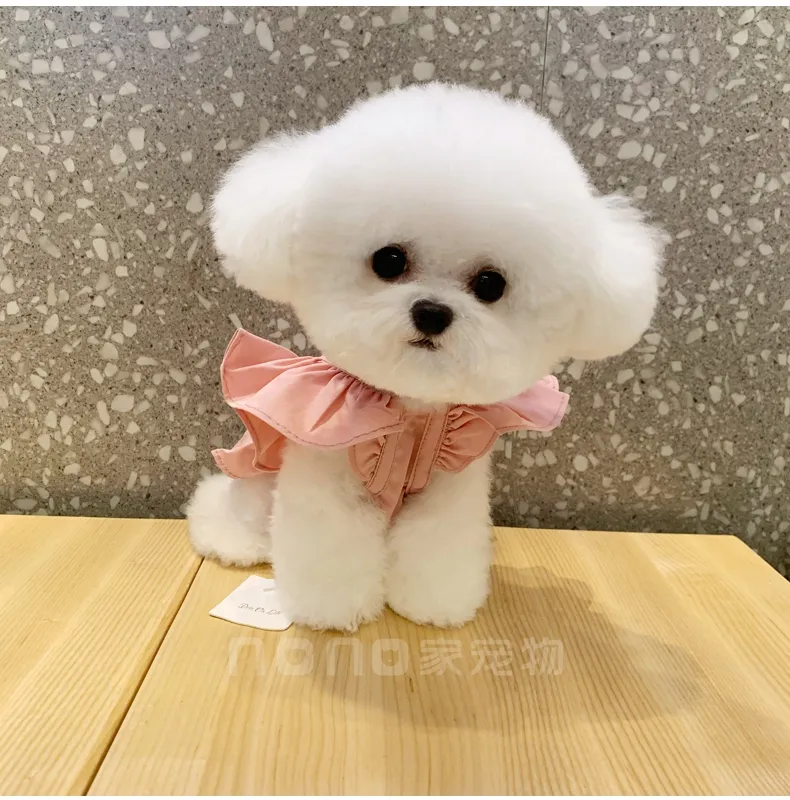 Cat dog clothes summer thin than bear Bomei tea cup small dog dog Korean  vest Teddy spring summer skirt - AliExpress