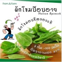 Form a Farm | ฟอร์มอะฟาร์ม • ผักโขมป็อบอาย (Spinach) 5 กรัม 500 เมล็ด ผักโขม ผักโขมอบชีส พันธุ์แท้ เมล็ดพันธุ์ นำเข้าจากอิตาลี ปลูกผักกินเอง