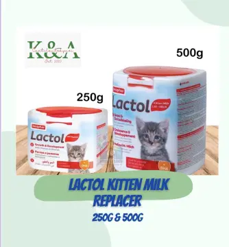 Lactol kitten 2024 milk powder