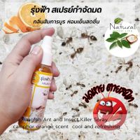 สเปรย์กำจัดมด (200 ml.) กลิ่นส้มการบูร ผลิตจากสารสกัดธรรมชาติ