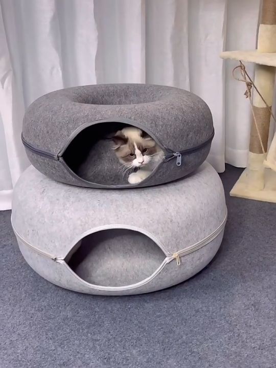 Tunnel Cat Nest Donut Semi-Enclosed Felt Tire Cat House Cat Pet Four ...