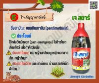 เจ สตาร์ ? สารกำจัดวัชพืช ? ชื่อสามัญ :เพนดิเมทาลิน (pendimethalin) ?ใช้กำตัดวัชพืชประเภทใบแคบและใบกว้าง ♻️หลังปลูกข้าวโพด