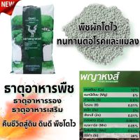 ปุ๋ยพญาหงส์ปุ๋ยธาตุอาหารรองเสริม10ชนิด+เพิ่มซิลิก้า40%*1 กก*พืชแข็งแรงทนโรค ใบเขียวเข้มลำต้นอวบ พืชทนแล้งหรือแดดจัดได้ดี