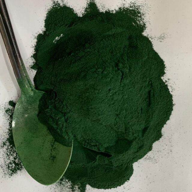 SPIRULINA ( UNTUK BUAT AIR HIJAU MAKANAN KUTU AIR DAN SEA MONKEY
