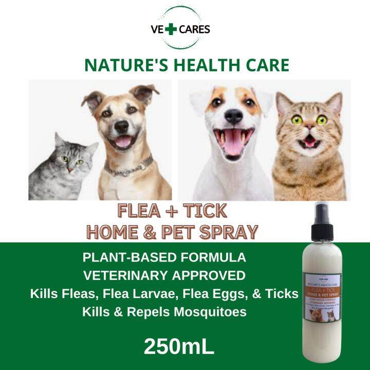 VETCARES BUY 1 TAKE 1 😍 250mL Organic, Anti Tick (Garapata) Flea ...