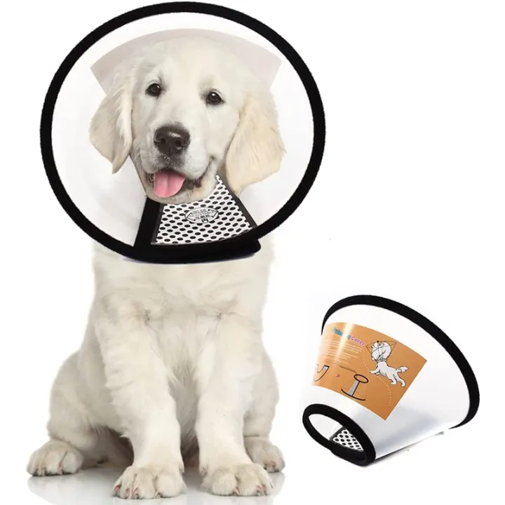 Plastic Pet Recovery Collars & Cones for Dogs and Cats After Surgery